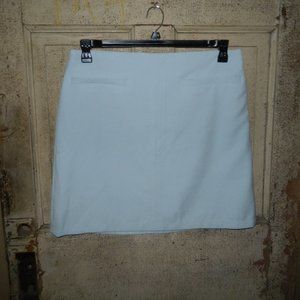 Ann Taylor Petite Blue Lined Skirt Size 16P NEW  (L-48)